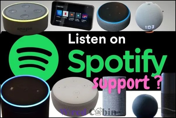 How to Play Spotify on Multiple Alexa Devices - Easy Guide - Wired Cabin