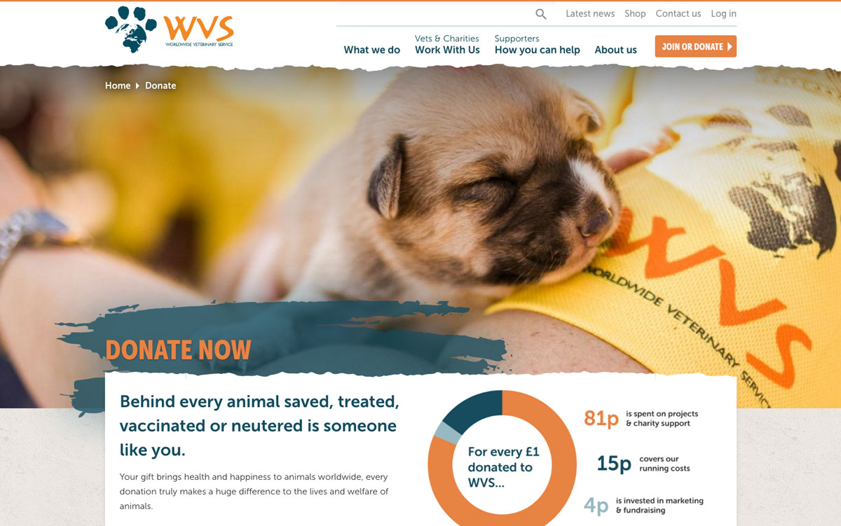 Five amazing animal charity websites Blog Wired Canvas