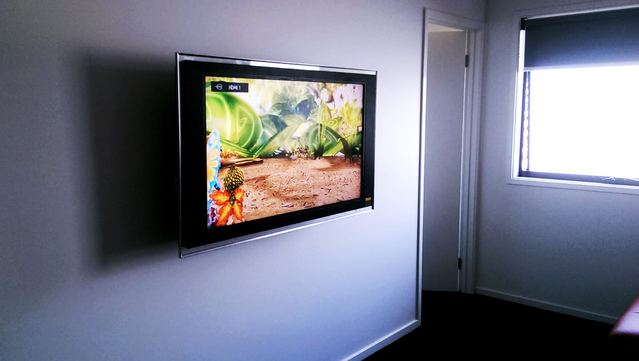 TV Installation Wired Store