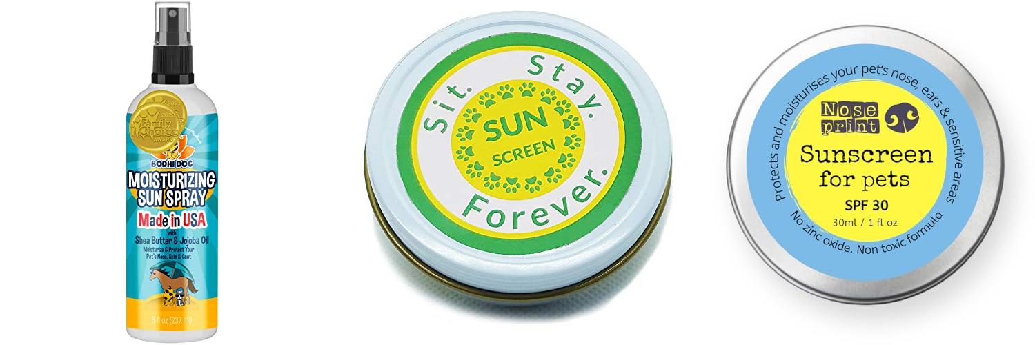 Top 5 Sunscreen For Cats Protect Your Feline From Sunburn