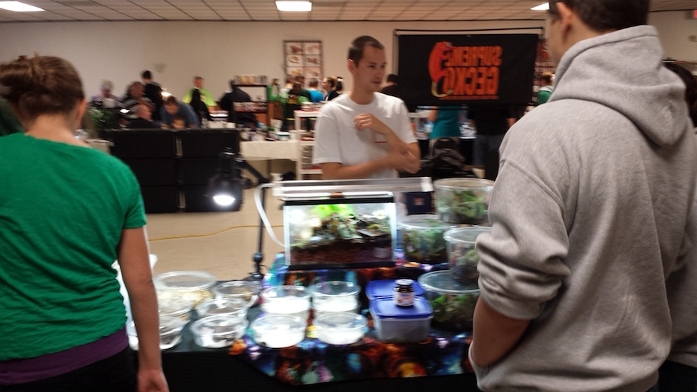 wisconsin reptile show