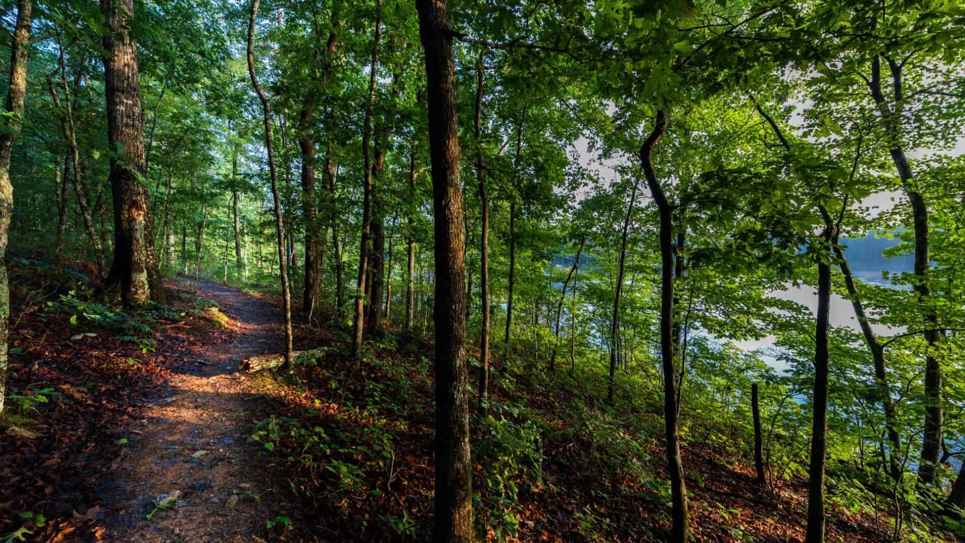 Moving to Canton, GA [2023] TOP Living in Canton, GA Tips