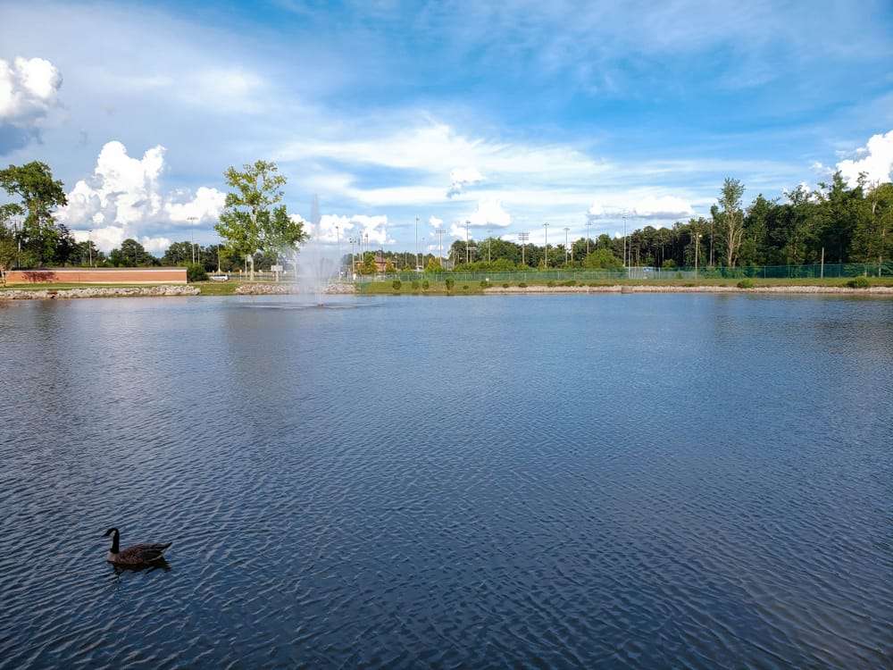 ULTIMATE Moving to Douglasville, GA Guide 🏡 Top Living in