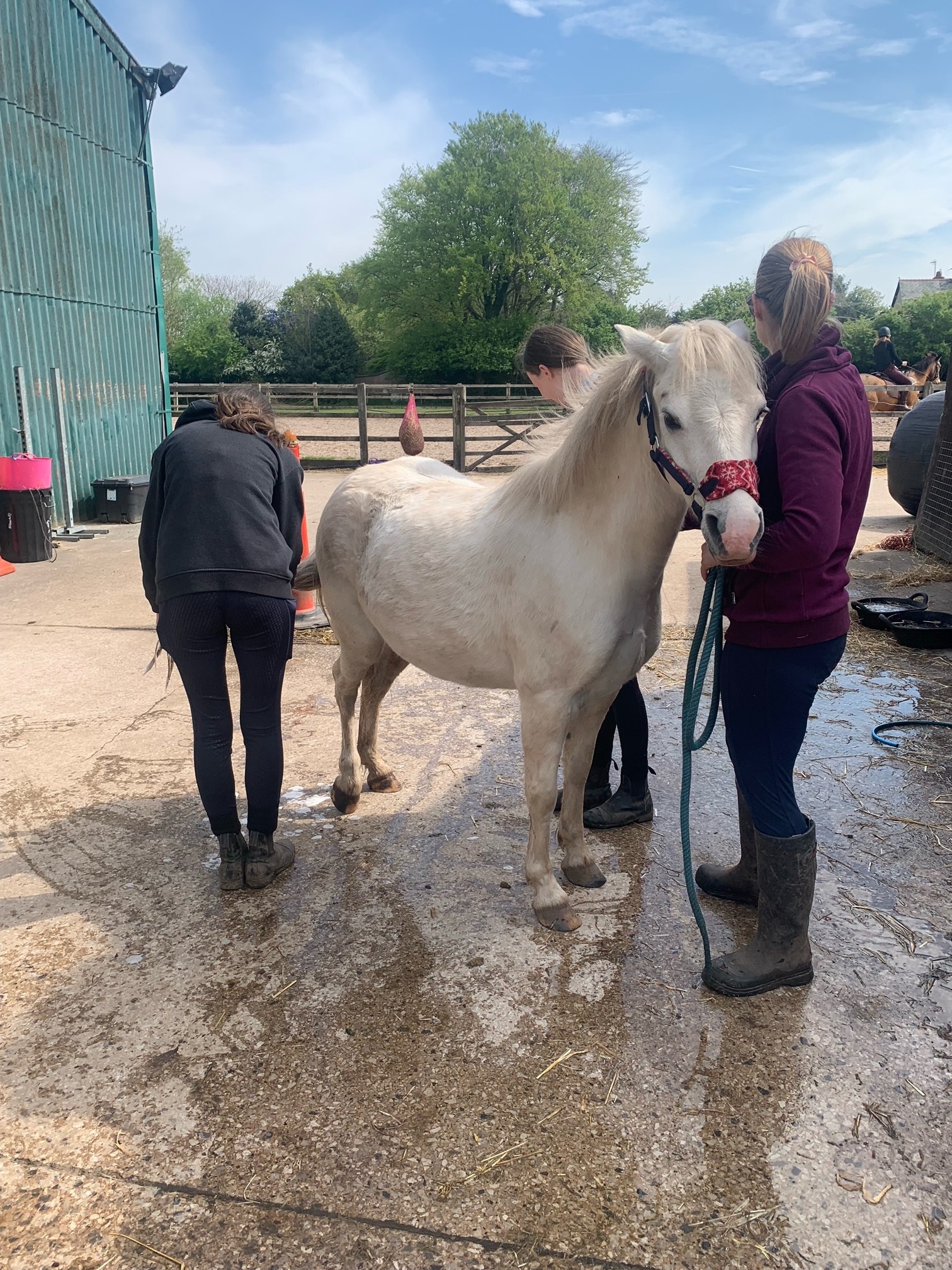Wirral Riding Centre
