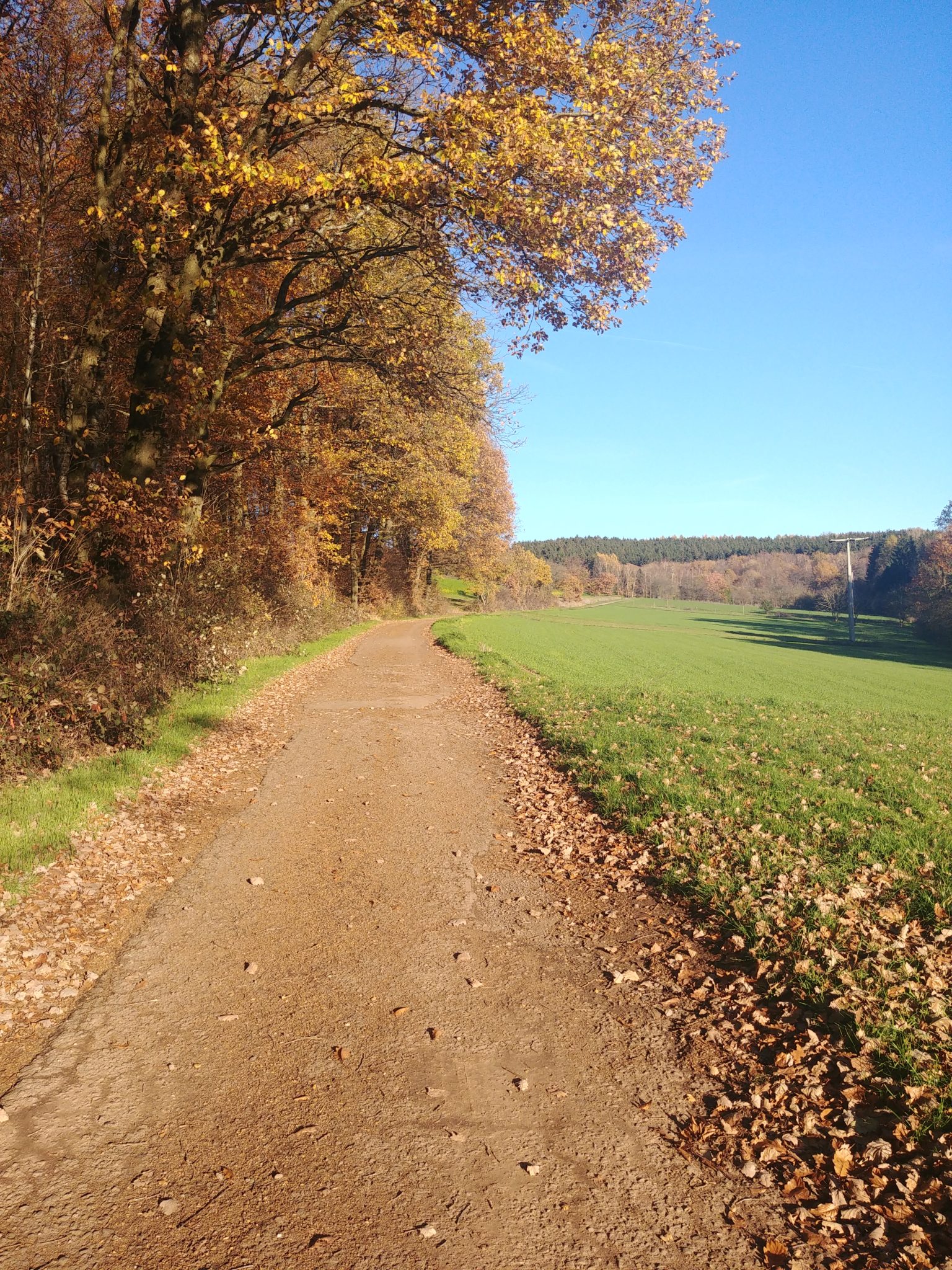 STADTANSICHTEN/ORTSANSICHTEN ILLINGEN/SAAR