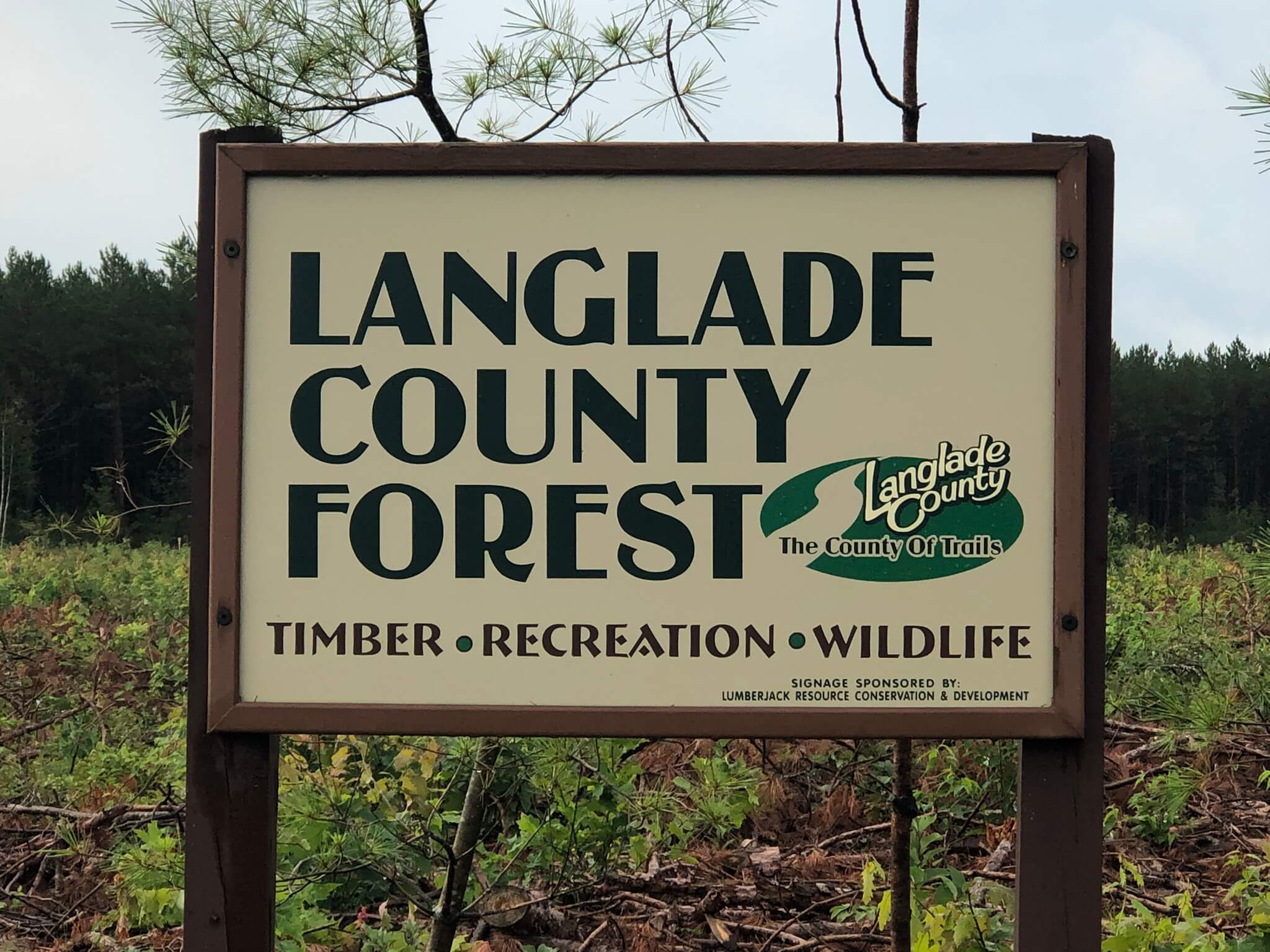 County Contacts wiscountyforest