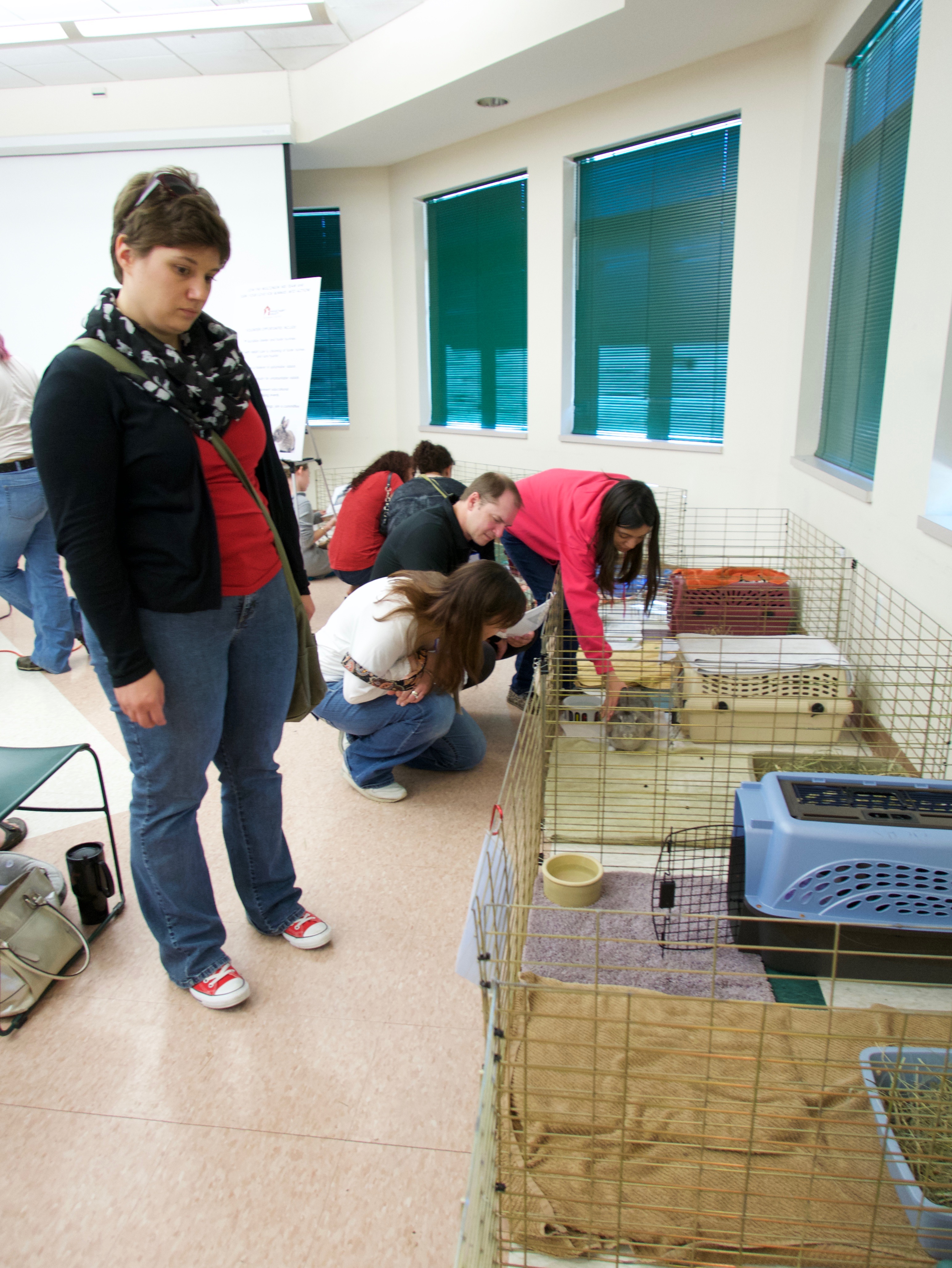 Bunny Day Pictures Wisconsin House Rabbit Society