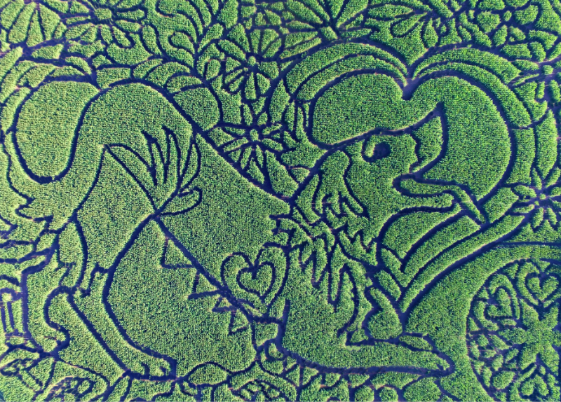 A Reimagined Family Farm Wisconsin Humanities