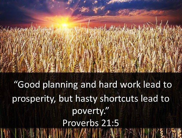Day 456 Good Planning and Hard Work Lead to Prosperity Proverbs 211