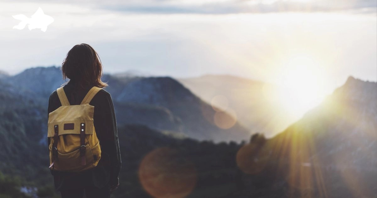 Always Travel Light. Wisdom for Goldfish