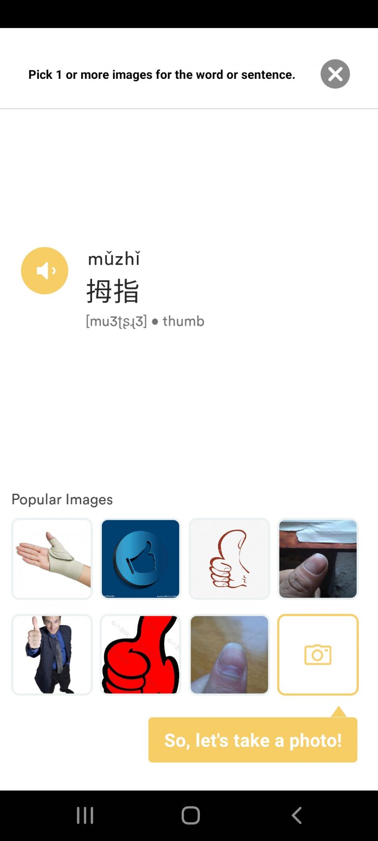 Fluent Forever Review Is It The TOP App For Learning Languages?