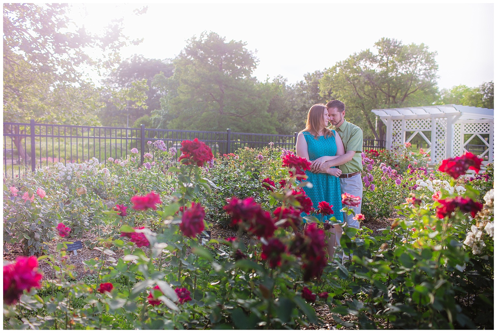 A GAGE PARK ROSE GARDEN ENGAGEMENT SESSION WisdomWatson Weddings