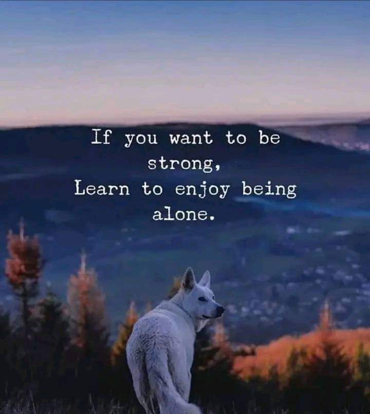 Best Loneliness Quotes Emotional Feeling Alone Quotes to help You