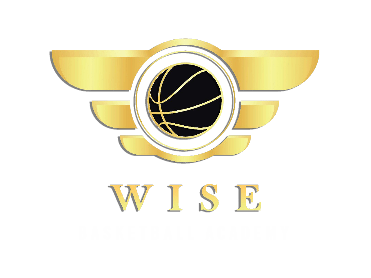 Locations Wise Basketball Academy