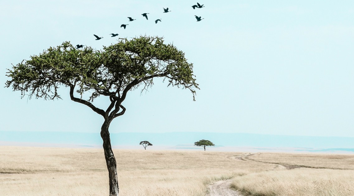 ATMs In Kenya Credit Cards And Fees Wise