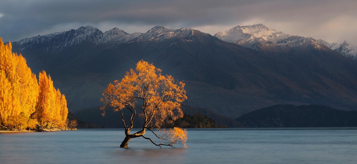 New Zealand jobs for expats Wise