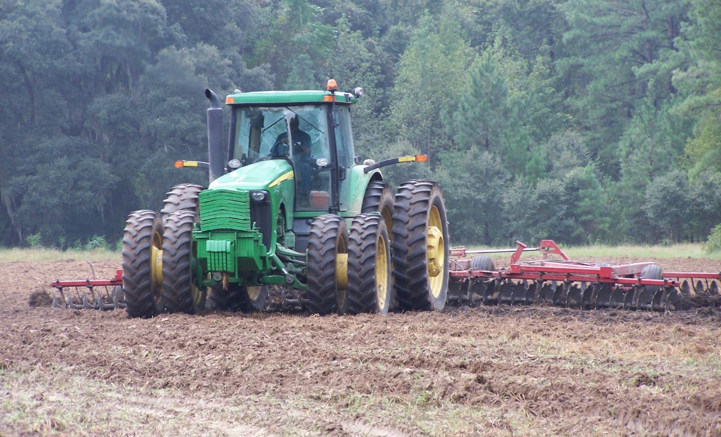 Management Plan Creation Timberland & Plantations For Sale in SC/GA