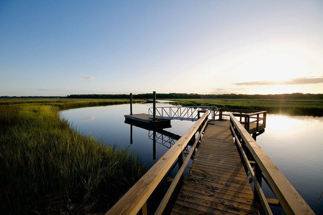 Bindon Plantation Timberland & Plantations For Sale in SC/GA