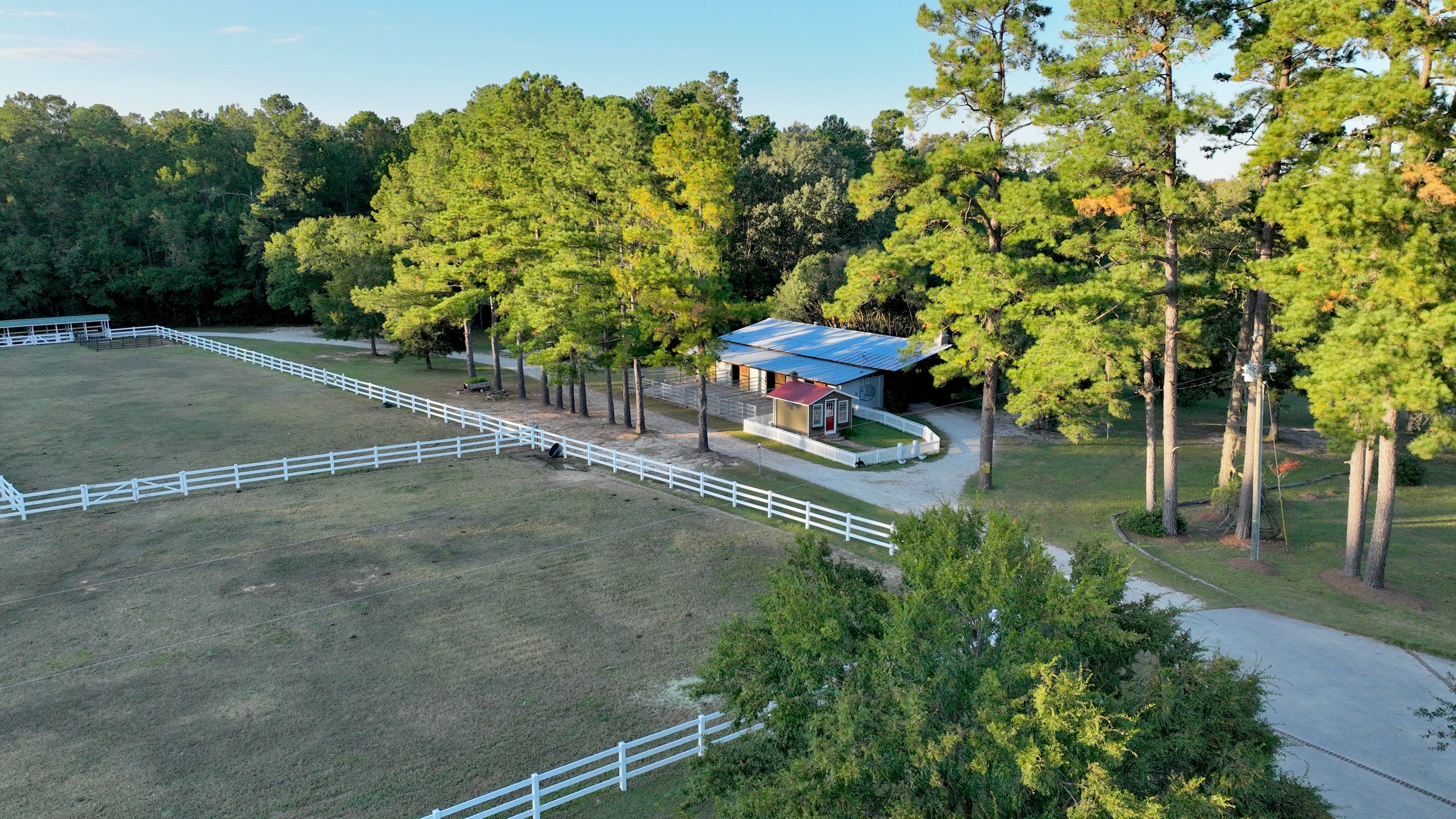 Sand Hill Plantation Timberland & Plantations For Sale in SC/GA