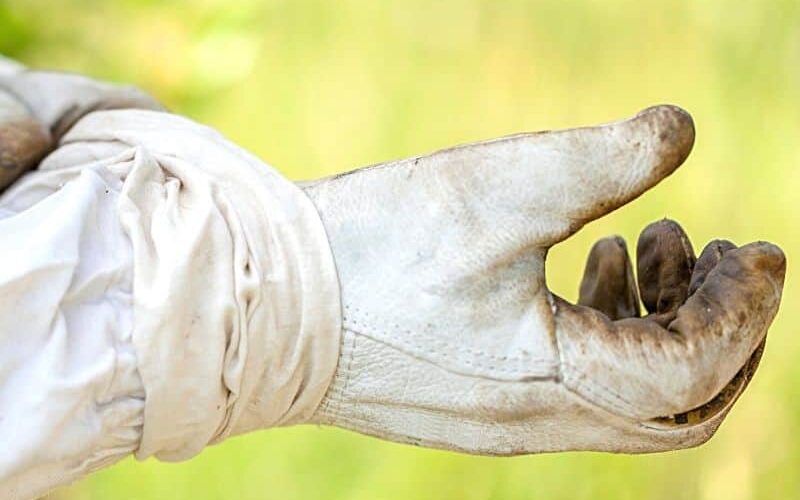 Beekeepers' Gloves Why Don't Beekeepers Wear Gloves and How to Choose