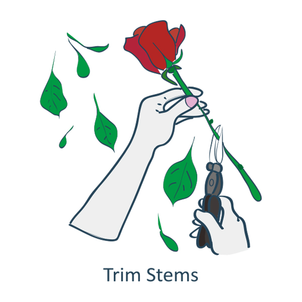 Flower Drying Silica Gel Crystals Wisedry