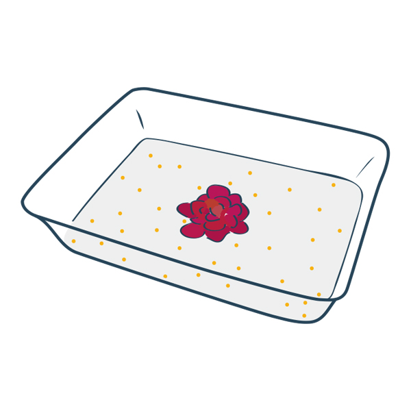 Flower Drying Silica Gel Crystals Wisedry