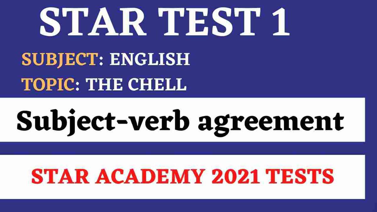 Subjectverb agreement Stars academy Lahore wisegot