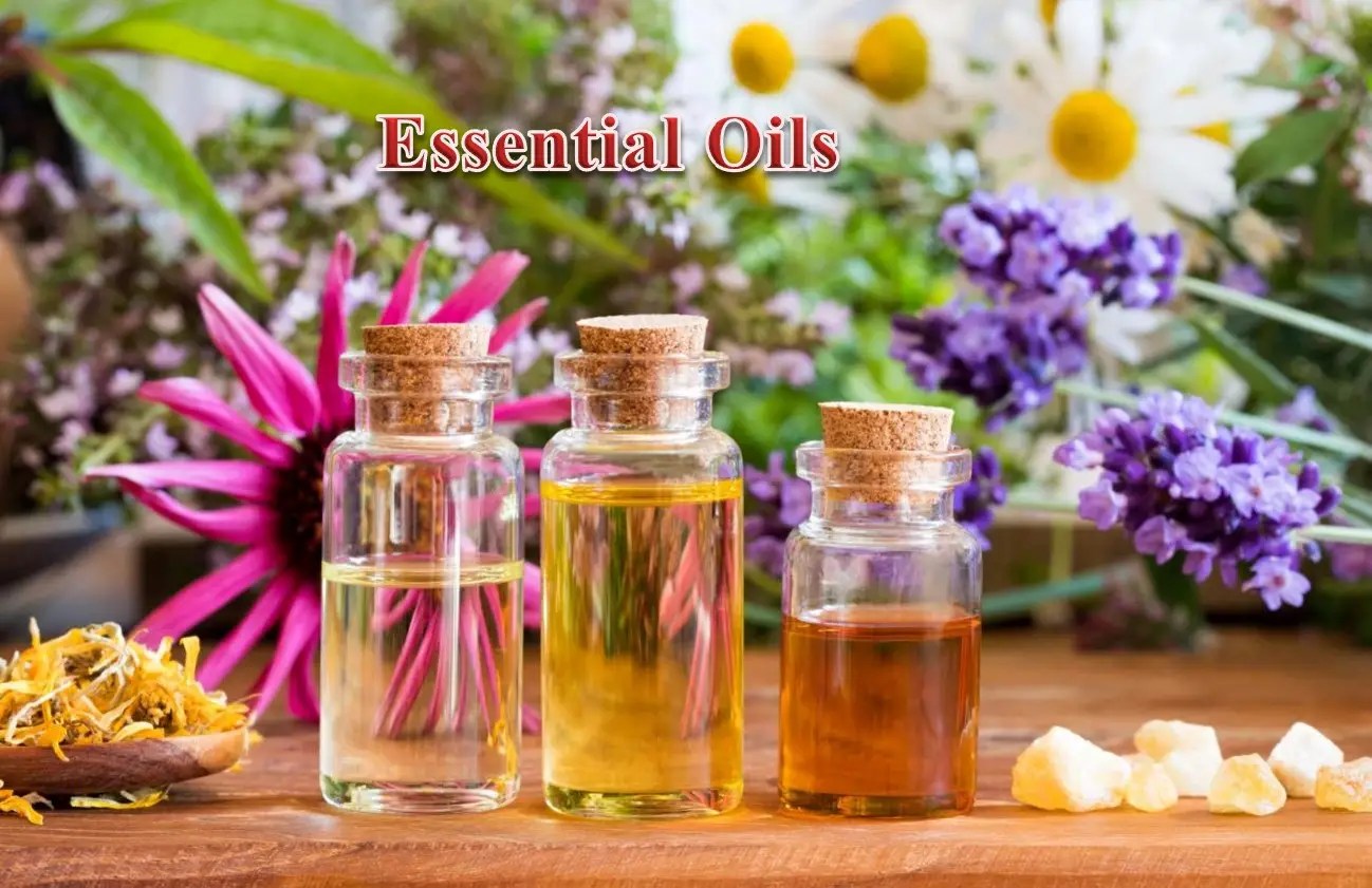 Five Essential Oils to Balance Hormones Naturally WiseLancer