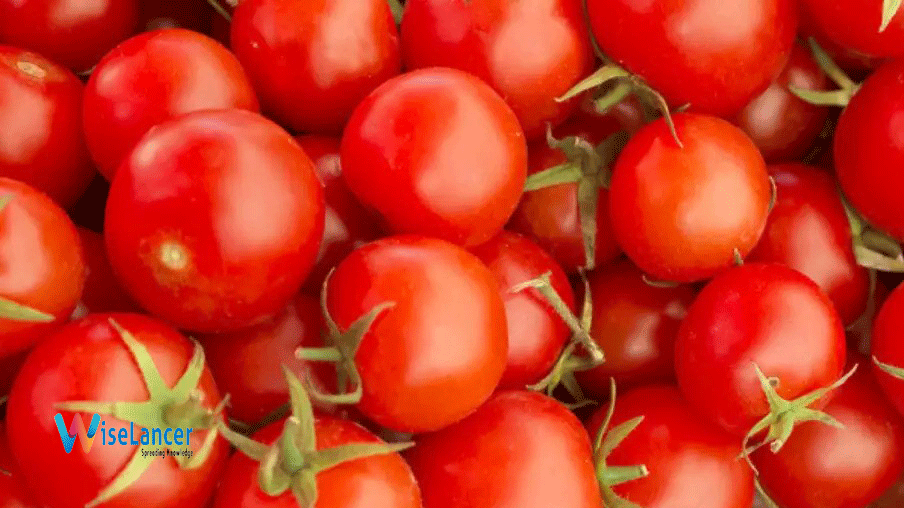 Destroy Cancer Cells with These 5 Foods WiseLancer