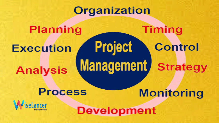 What is Project Management and its Implementation Successfully WiseLancer