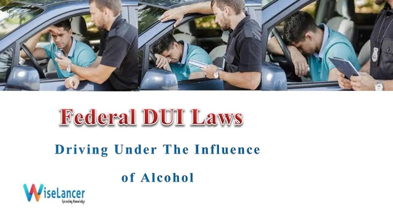 Federal DUI Laws Driving Under The Influence of Alcohol WiseLancer