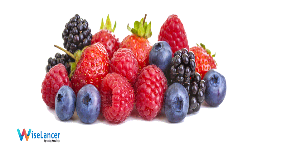 7 AntiInflammatory Foods For Health and WellBeing! WiseLancer