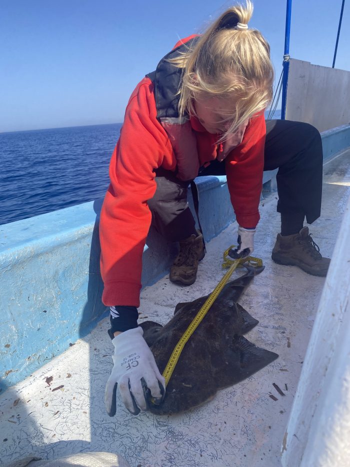 An Interview Martha O'Keefe