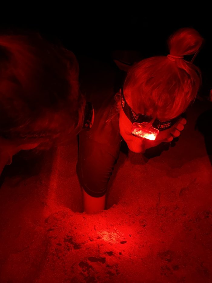 An Interview Martha O'Keefe