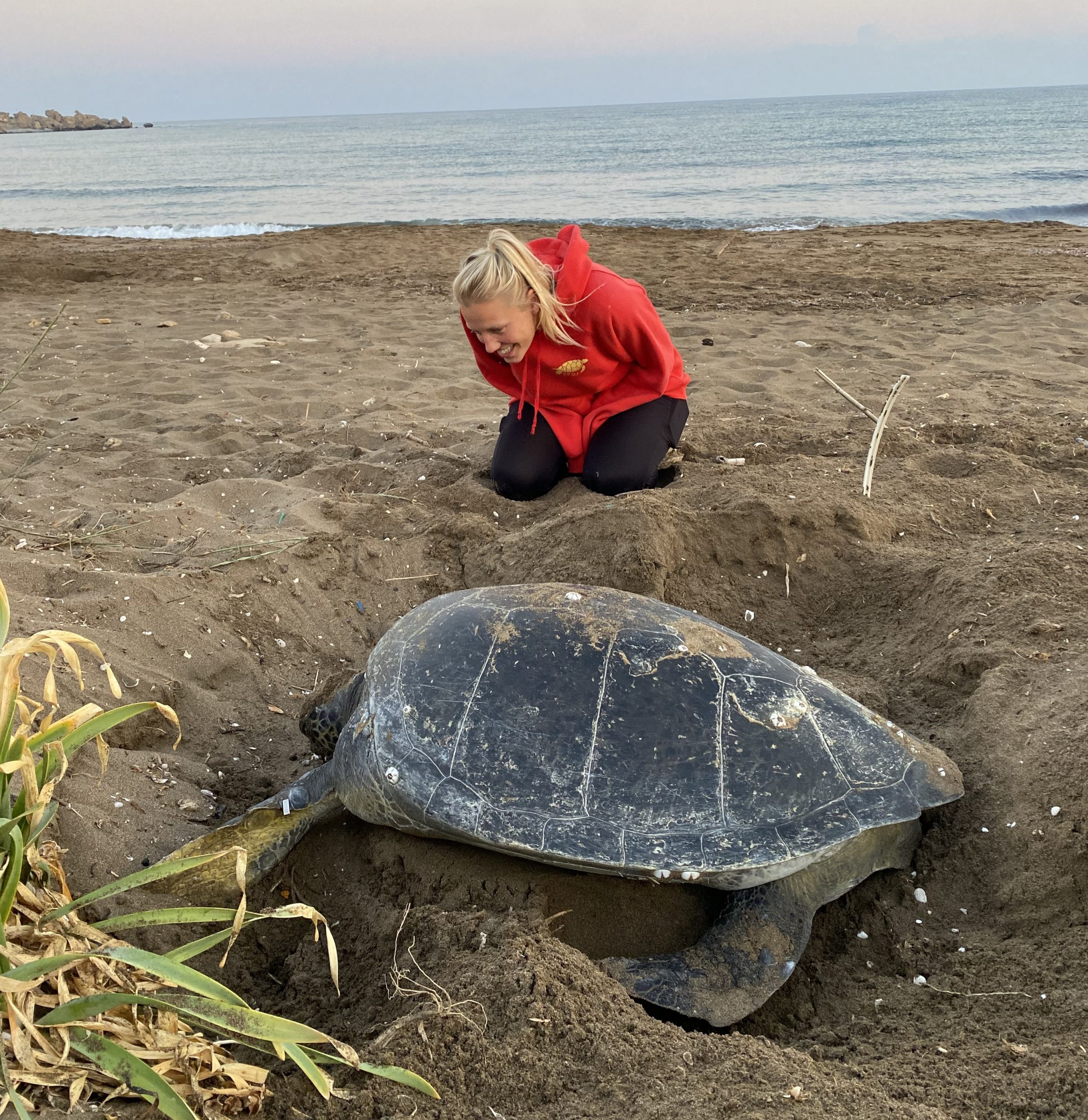 An Interview Martha O'Keefe