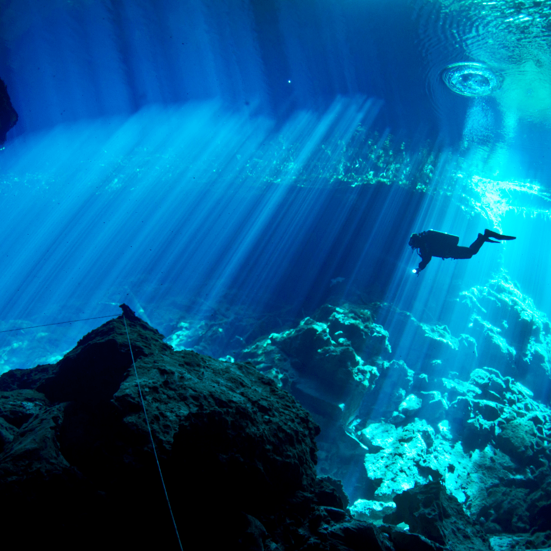 Exploring the Deep Sea