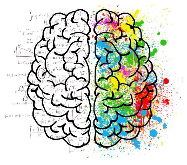 High School Mission, Vision & Goals Wise Owl Private School