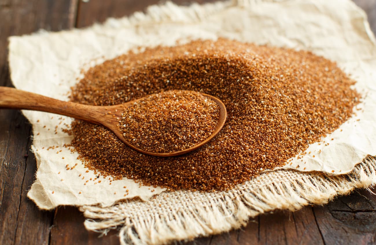 Teff, farina e cereale prezioso proprietà, benefici e usi Wise Society