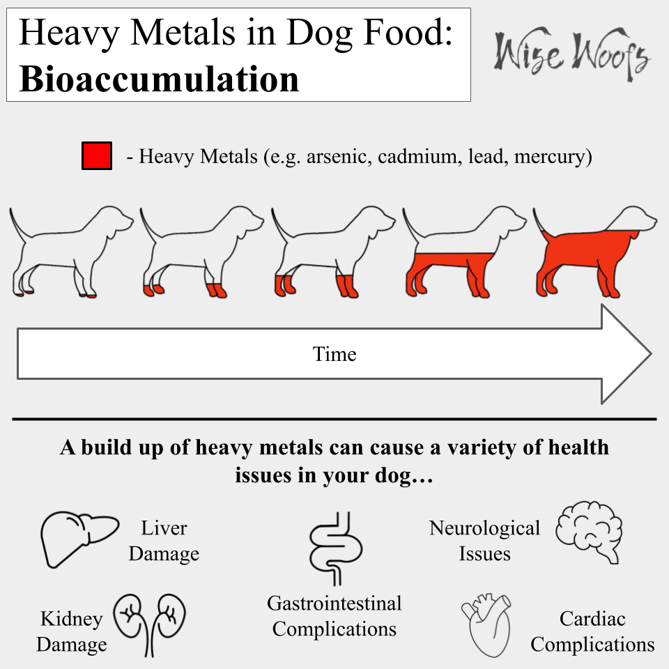 Heavy Metals In Dog Food Wise Woofs