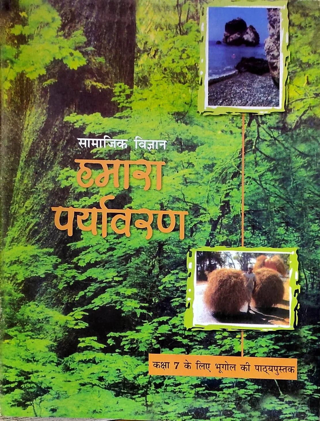 NCERT Hamara Paryavaran For Class 7 In Hindi » WishAllBook Online