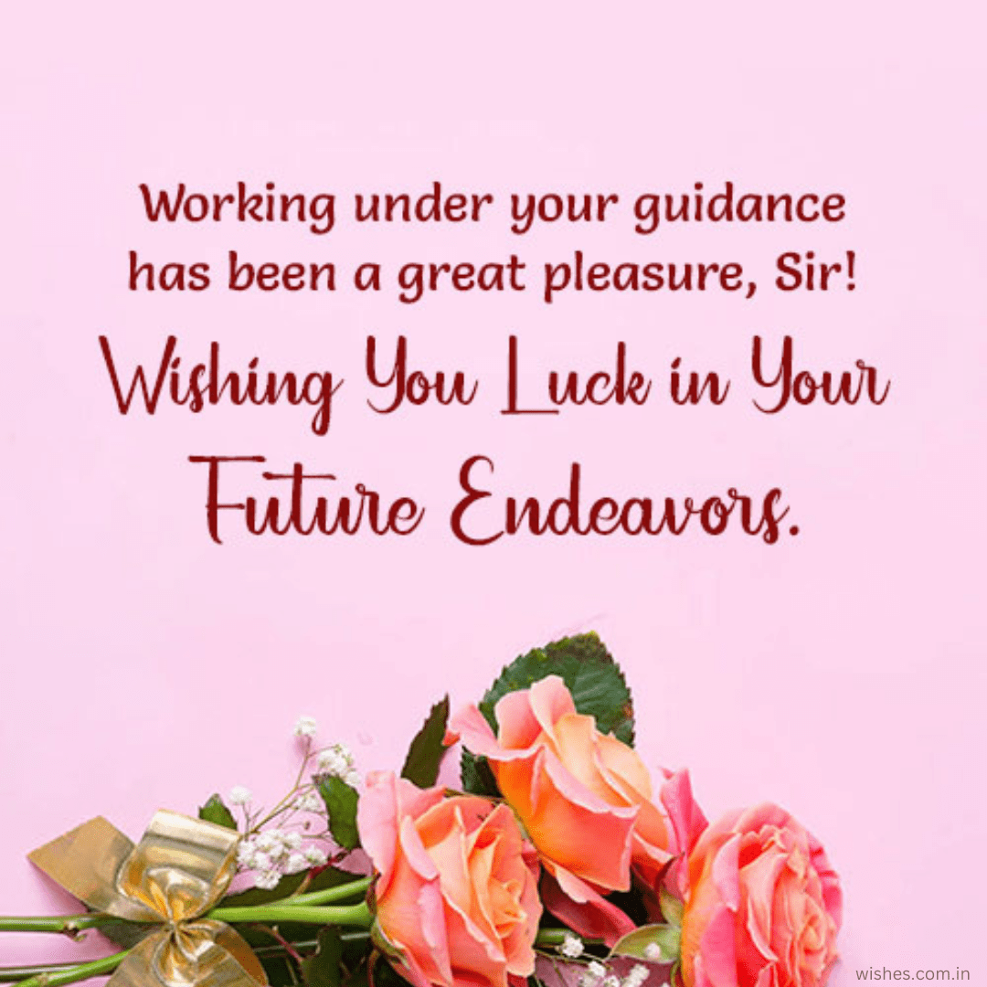 200+ Best Farewell Messages and Wishes To Boss Wishes