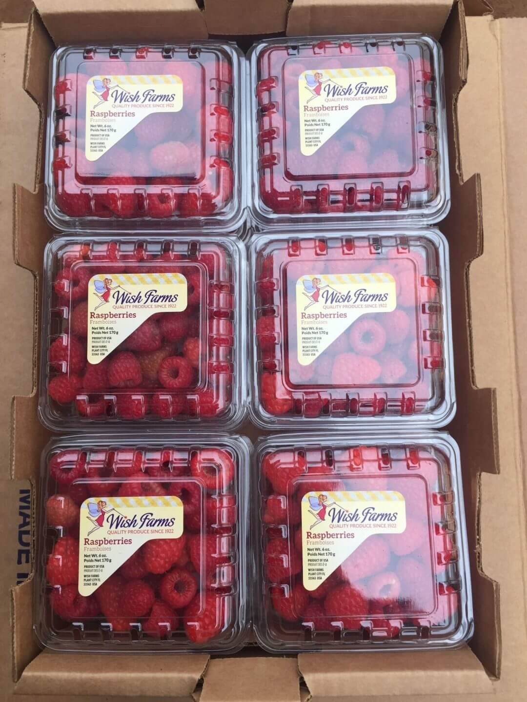 Wish Farms Introduces Raspberries Wish Farms US Produce Growers