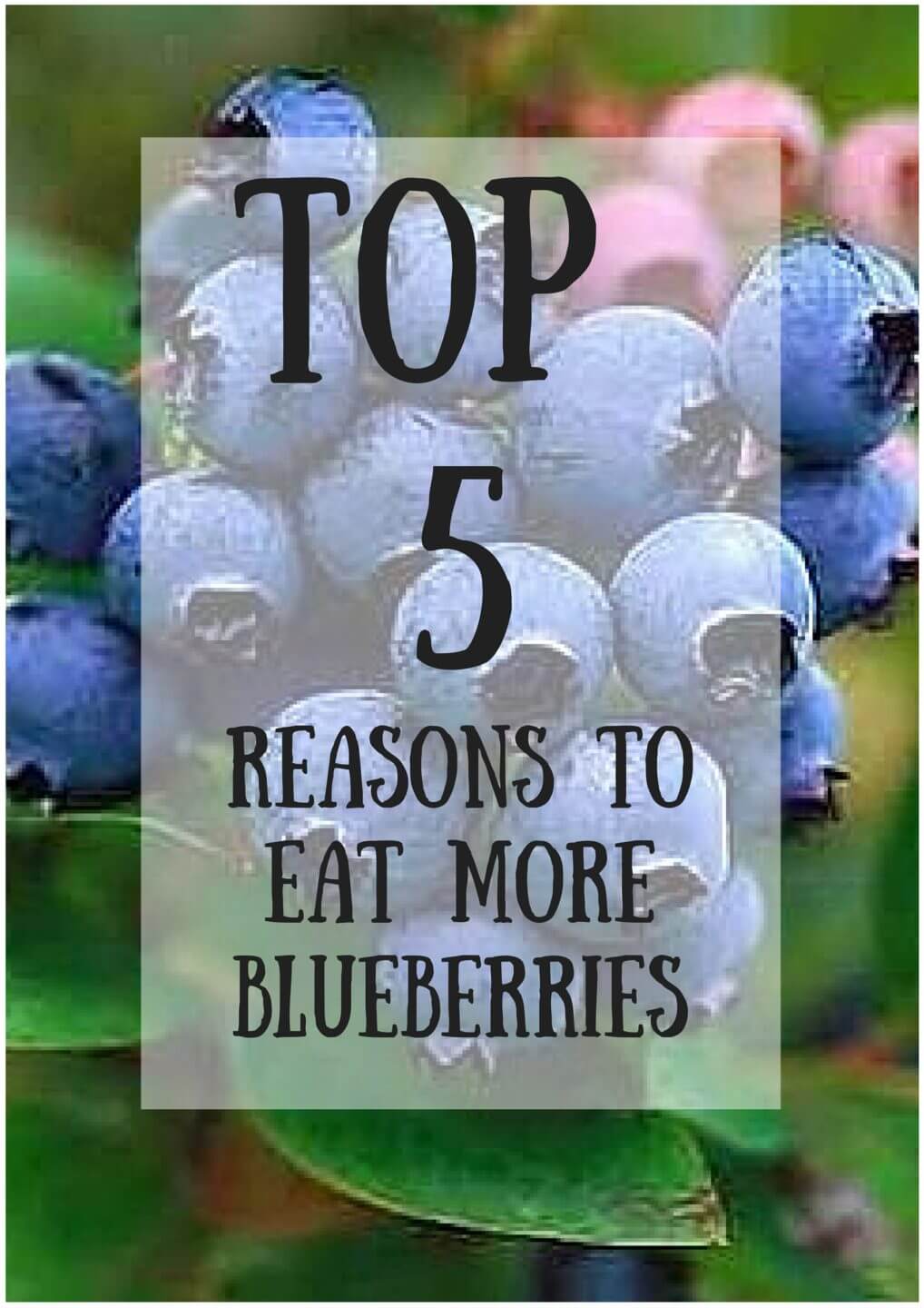 Top 5 Reasons to Eat More Blueberries Wish Farms