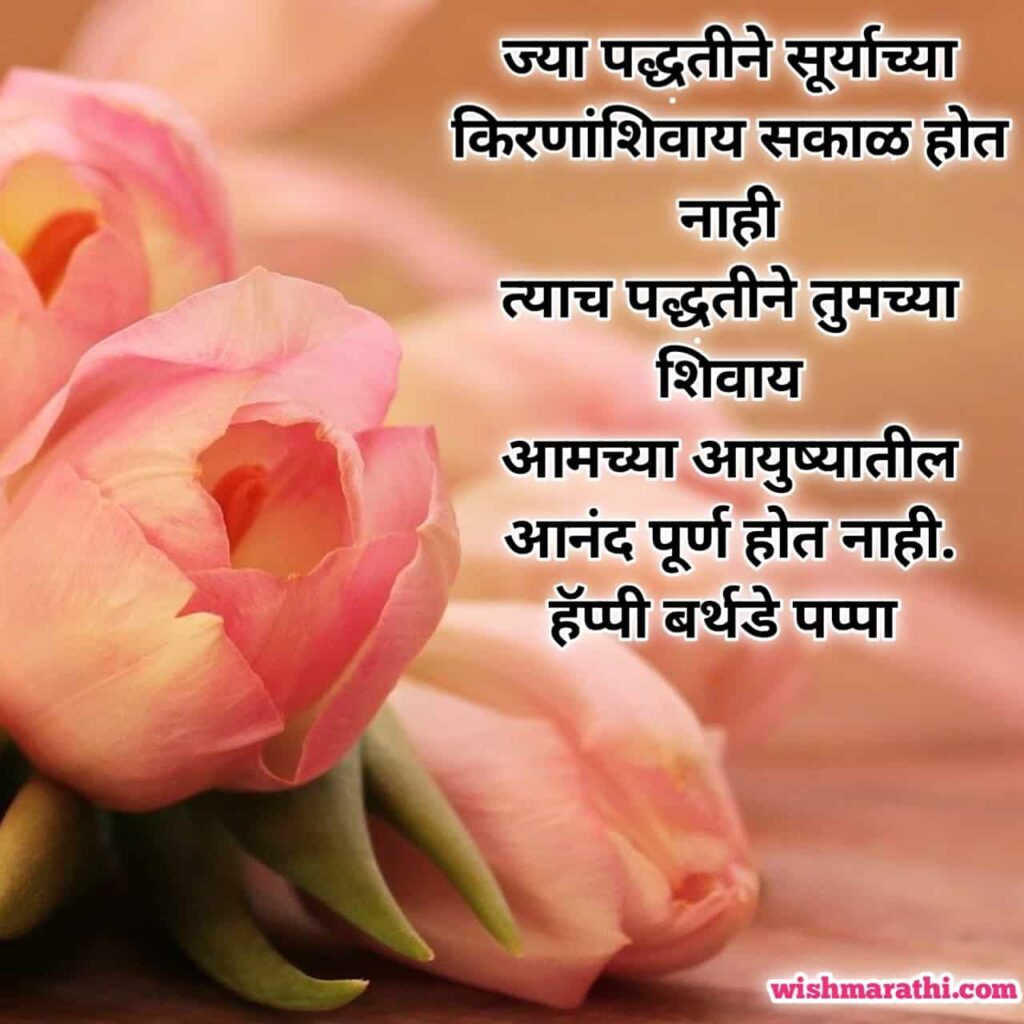 सासरे वाढदिवसाच्या हार्दिक शुभेच्छा मराठी birthday wishes for father