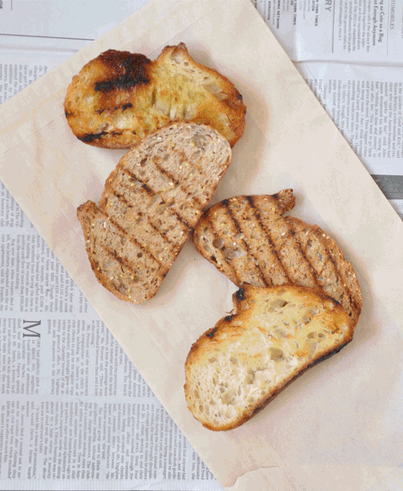 Let's Toast to Toast! Wit & Delight