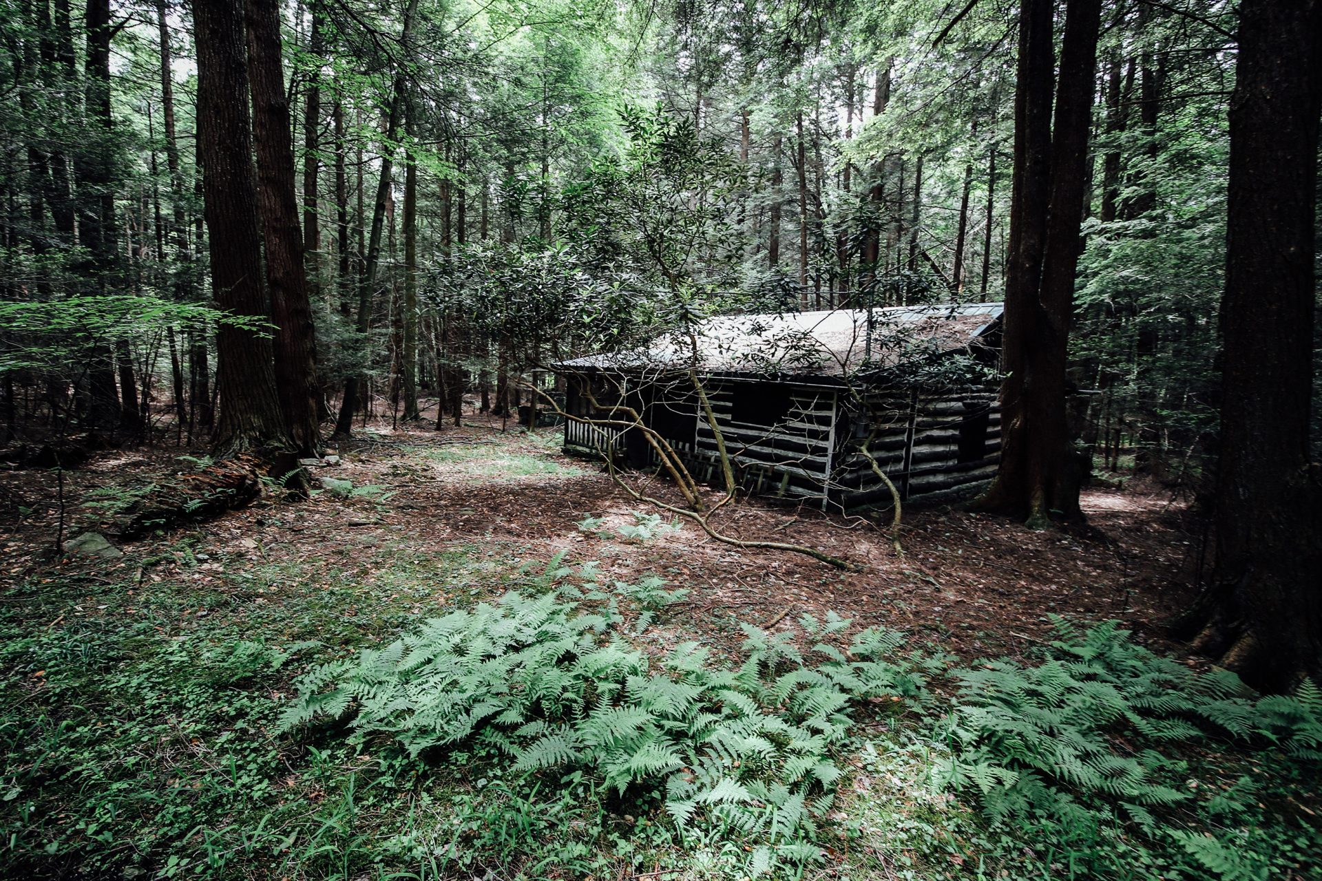 Part of Flight 93 crashed on my land. I went back to the sacred ground