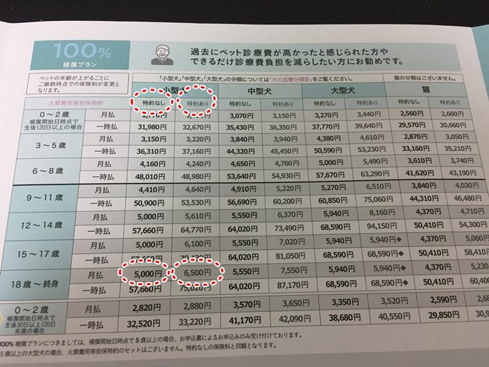 【2019年版】PS保険の口コミ最高のバランサー型保険は確定も、最大のデメリットも知っておくべき。 チワワと一緒