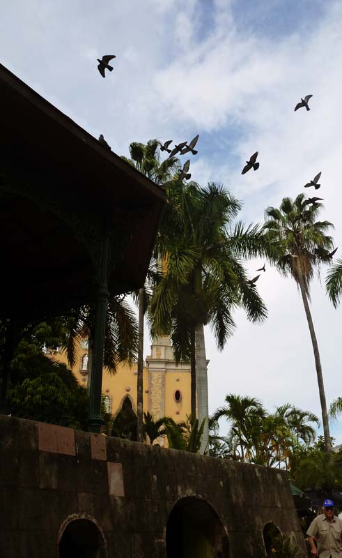 Birds and the church in the old town