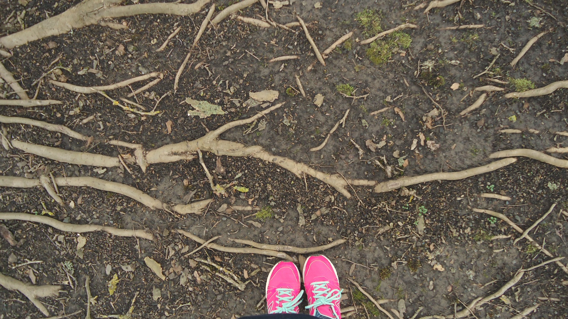 Page 10 “Who in the world am I? Ah, that's the great puzzle.” ― Lewis