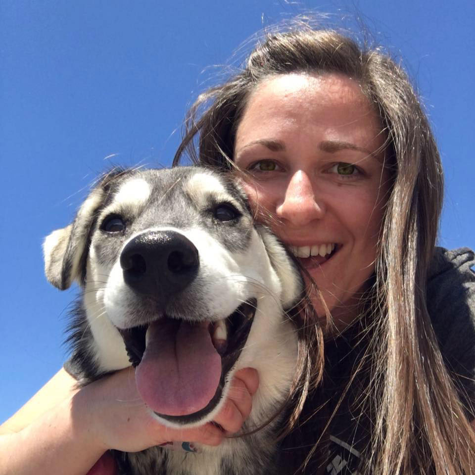 Bringing My Dog from Canada to France Paperwork With Husky